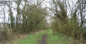 Old road named Drift Way in Sandon, Hertfordshire. Photo: Phil Wadey