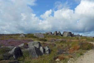 Great Skirtful of Stones on Burley Moor, just SW of Burley-in-Wharfedale