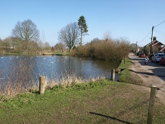 Dereham Walks - The Windmill & The Neatherd