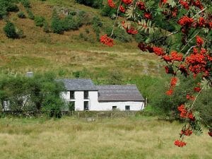 Dolgoch