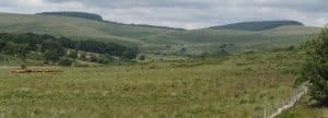 Fernworthy forest seen from the west near the Cherry Brook