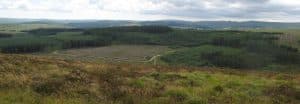 Soussons forest from Challacombe Down