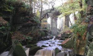 Healey Dell