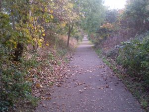 Path along western edge of Ive Farm. Photo: Claire Weiss