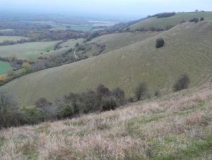 For sale: Plumpton Hill. Photo: Dave Bangs