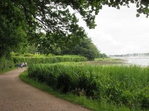 The path at Swanwick