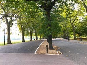 Tarmac in Battersea Park. Photo: Battersea Park Action Group