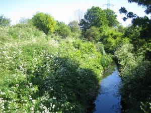 Dagenham Brook, Leyton, on the edge of the application site. © copyright Nigel Cox and licensed for reuse under this Creative Commons Licence