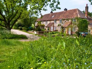 Moorend Common, Bucks. Photo: Clive Ormonde