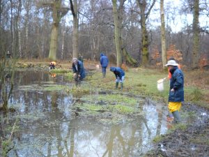 Volunteer pond-surveyors, Pitstone Common, Bucks.  Photo: Emily Smith.