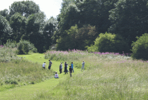 Clayton Fields, threatened space in Kirklees