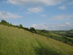 Cobstone Hill in the Chilterns AONB in Buckinghamshire