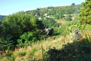 Looking towards Steepfield, Hebden Bridge