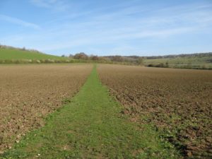 Well-maintained path at Turville, Bucks.