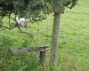 Blocked footpath at Llanfyllin, 2009