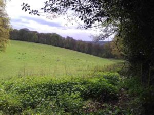 Ibstone Common, Buckinghamshire