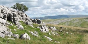 Limestone pavement on Little Asby Common, between Orton and Krkby Stephen in Cumbria, which is now within the Yorkshire Dales National Park. Photo: Friends of the Lake District