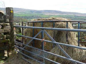 Blocked: Littleborough foopath FP104B, Rochdale