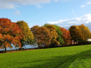 Lower Park, Shaldon, Devon, registered 2011