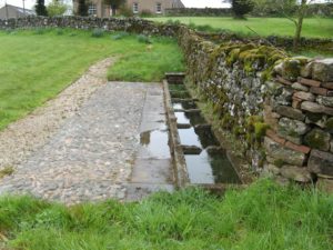 One of the stone troughs on Newbiggin Common