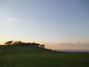 Chanctonbury Ring