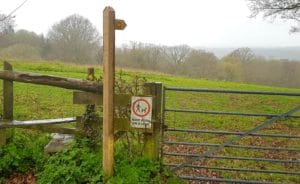 new Burwash signpost