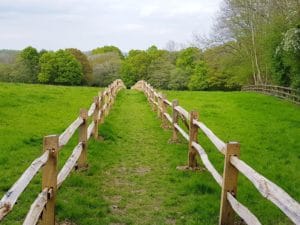 Hartfield footpath