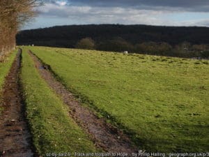 OSS Footpath to west of Hope-under-Dinmore footpath HD4