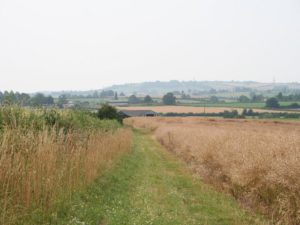 Bob Embleton / Footpath to Trehumfrey Farm