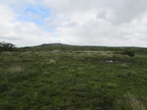 Grey Rock on the eastern side of the claimed common, with Helman Tor in the background