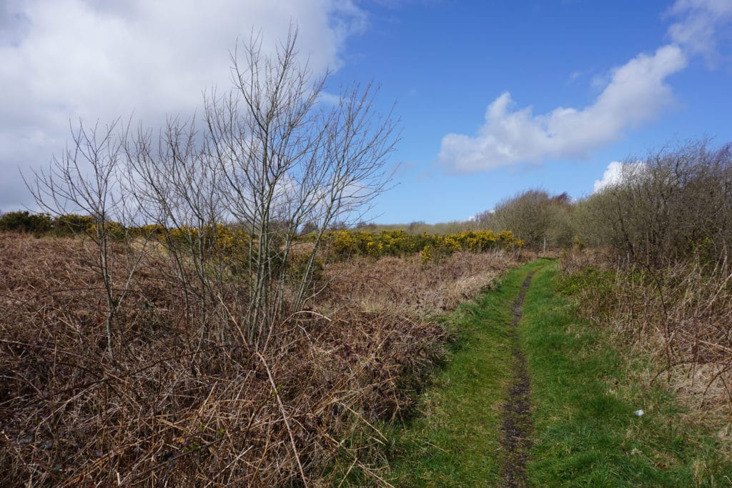 Clyne Common showing the proposed release land to the left of the track. © Copyright Bill Boaden and licensed for reuse under this Creative Commons Licence