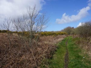 Clyne Common showing the proposed release land to the left of the track. © Copyright Bill Boaden and licensed for reuse under this Creative Commons Licence