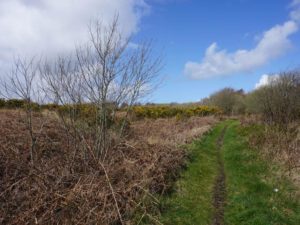 Clyne Common showing to the left of the track the land which it was proposed to swap. © Copyright Bill Boaden and licensed for reuse under this Creative Commons LicenceClyne Common showing to the left of the track the land which it was proposed to swap. © Copyright Bill Boaden and licensed for reuse under this Creative Commons Licence