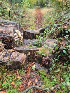 Path at Miskin, near Llantrisant, Rhondda Cynon Taf