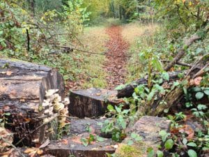 Path at Miskin, near Llantrisant, Rhondda Cynon Taf