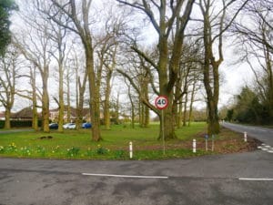 Part of Berkhamsted Common in Hertfordshire which the society succeeded in registering in 2020