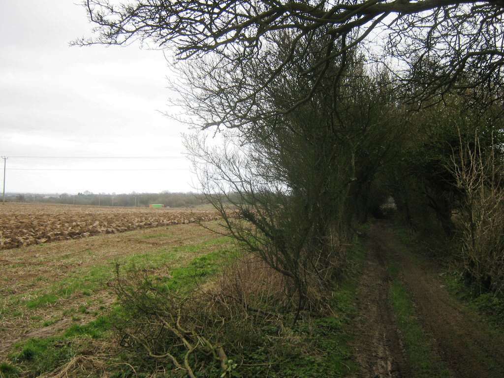 North Downs Way, photo David Anstiss