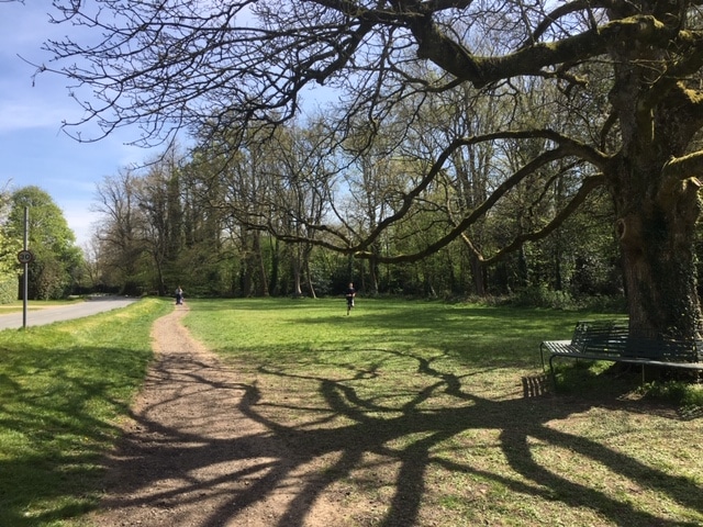 View across Chesham Bois Common, Buckinghamshire