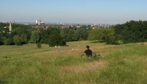 Hampstead Heath in summer