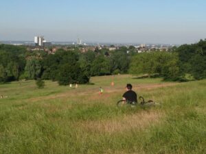 Hampstead Heath in summer