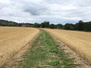 Colwall footpath 28 in Herefordshire. The Open Spaces Society says that farmers should be rewarded for keeping paths uncultivated.