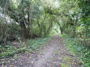 Part of Clay End Common. Photo: OSS