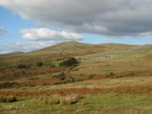 Brat Tor and Great Links, Dartmoor Photo: Open Spaces Society