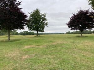 Bristol Downs. Photo: Open Spaces Society