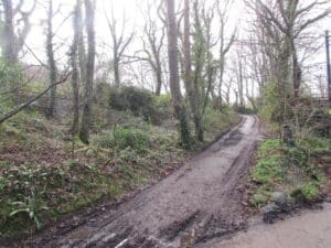 Land restored as common at Lower Banns, Cornwall 