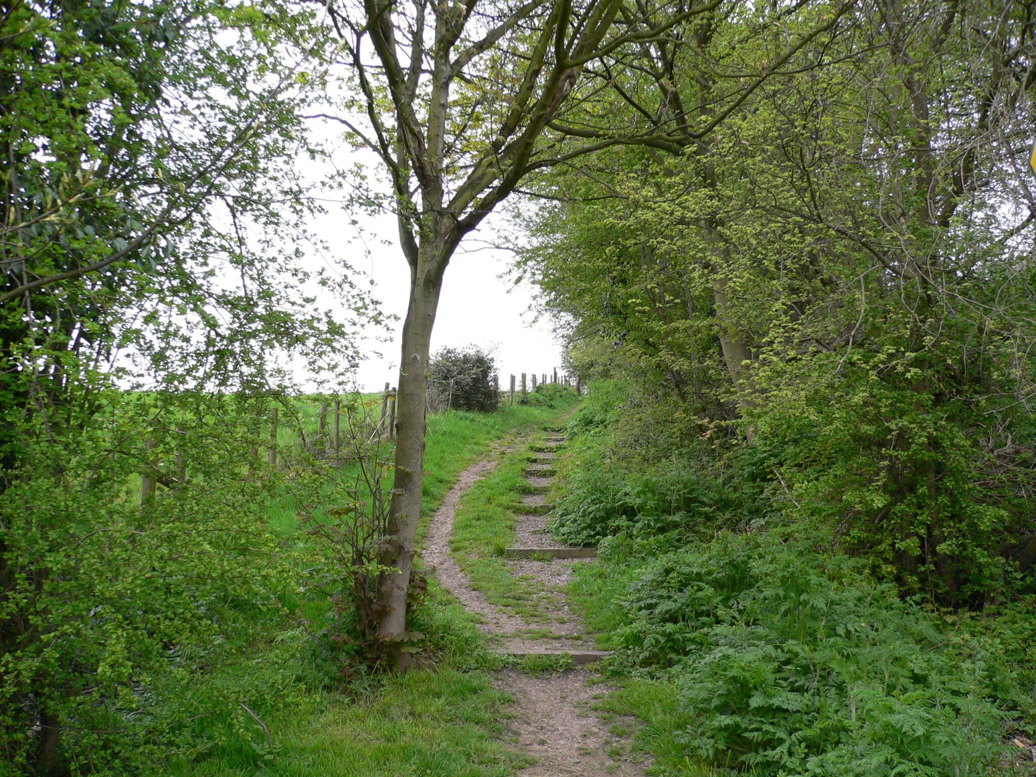 Pointless Path New guidance on purging pointless path-paraphernalia | OSS | October 2024