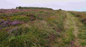 We recover common land in Cornwall