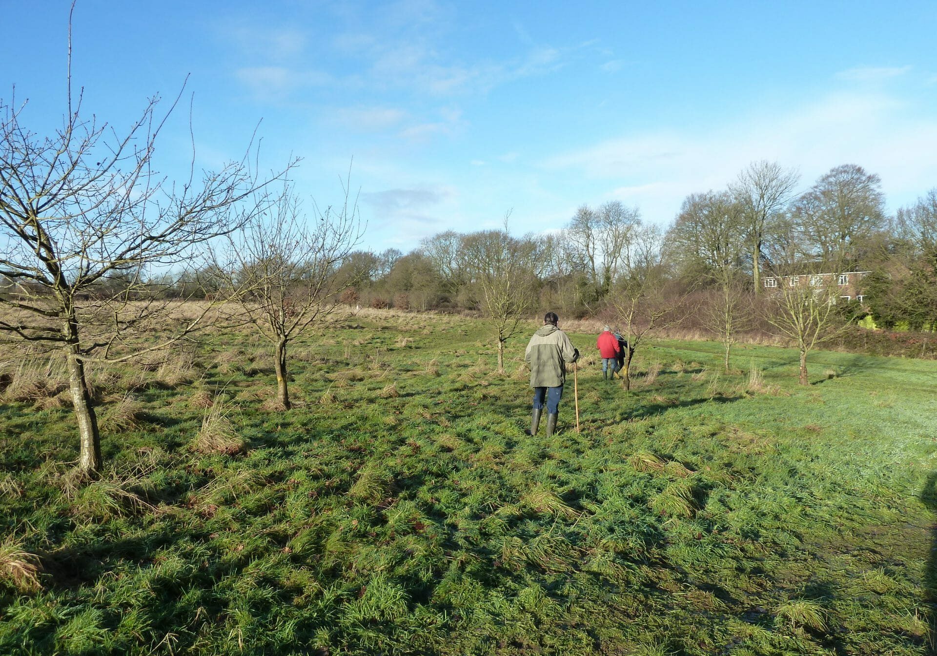 Widmer Fields, at Hazelmere in Buckinghamshire, a 42-acre new village green