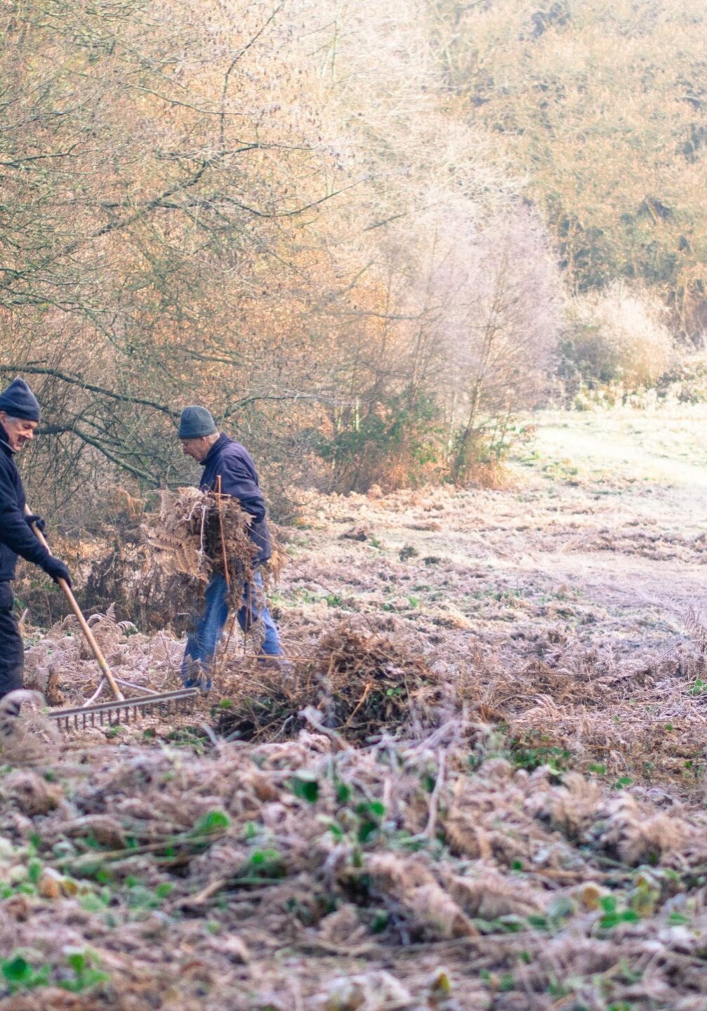 Volunteer work-party on Peppard Common, Oxon. Photo: Clive Ormonde