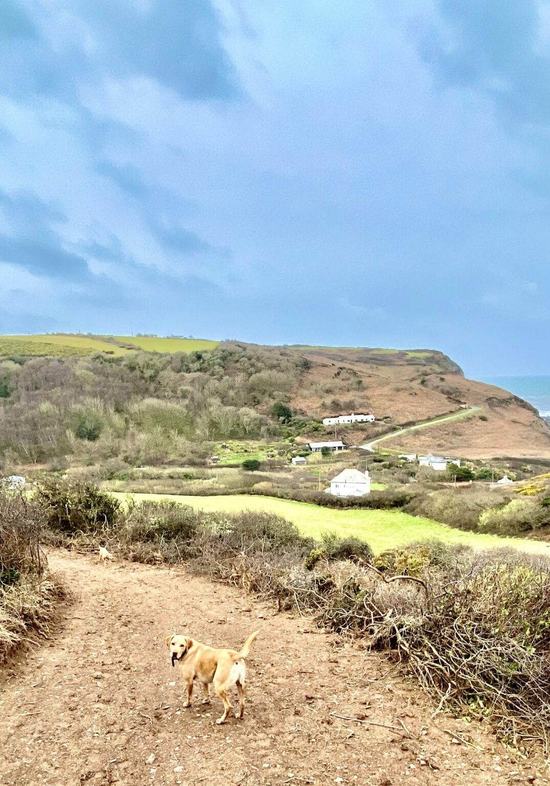 Poundstock footpath 7, Cornwall now restored